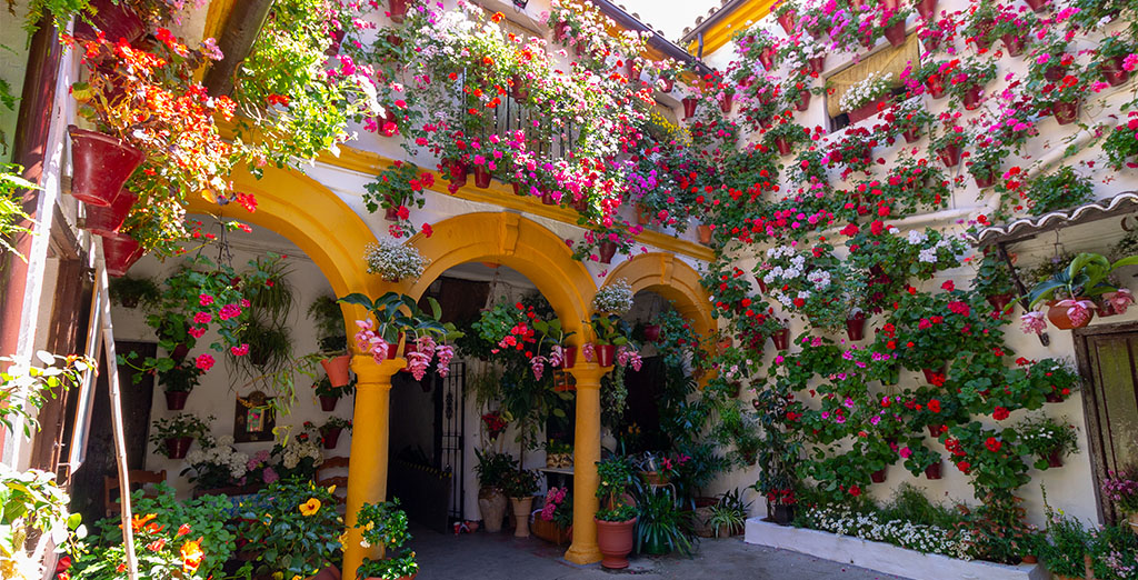 PATIO SAN BASILIO 14 4º PREMIO ARQUITECTURA ANTIGUA 2019🏆 dePATIOS